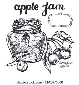 Apple; jam sketch.Vector hand drawn vintage fruits, lettering, vegetarian food illustration. Retro style. Organic background
