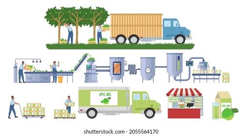 Apple juice production infographic, flat vector illustration. Fruit harvesting, transport. Juice factory processing and packaging line. Distribution, sale, consumption. Food industry.