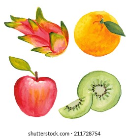Apple, kiwifruit, orange and dragon fruit. Hand drawn in watercolor technique