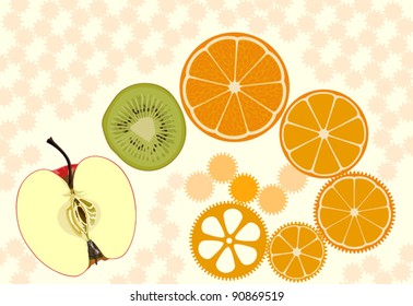 Apple, kiwifruit and orange slices presented as live clockwork cogwheels.