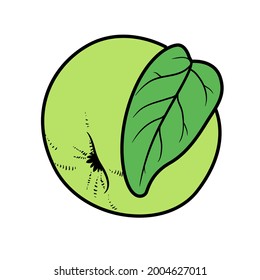Apple with leaf color variation for coloring page isolated on white background