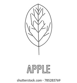Apple leaf icon. Outline illustration of apple leaf vector icon for web