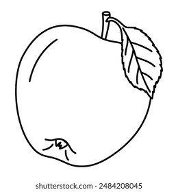 Apple with a leaf line art drawing coloring page. Ripe apple black and white vector illustration. Hand drawn doodle style.