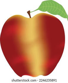 apple leaf realistic vector white background red green  