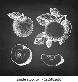 Apple con hoja y fruta cortada. Esbozo de alk en el fondo de la pizarra. Ilustración vectorial dibujada a mano. Estilo retro.