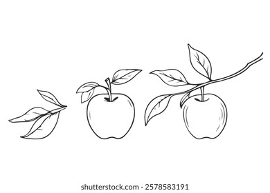 Apple Leaves Branch Line Drawing Set. Line Art Floral Design. Abstract Line Drawing of Apple Fruits and Leaves. Stylized Botanical Vector Illustration. 