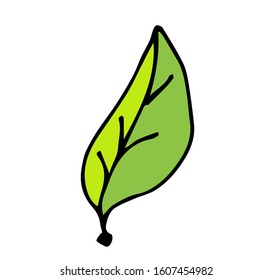Apple leaves icon, vector fruit illustration isolated on white background, flat fresh healthy apples.	