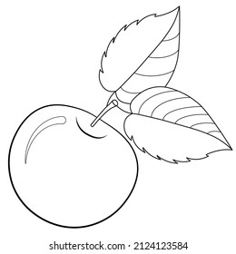 An apple with leaves on a white background. Black contour drawing. Educational coloring book for children