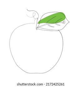 Apple line art premium vector