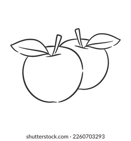 Apple line art vector illustration, Coloring book of healthy fruit