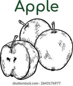 apple line drawing. Vintage pineapple whole, slices, pineapple with leaves, pineapple circle for juice label. Vector black ink outline food sketch illustration with juicy slice and peel of fruit