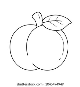 Apple line icon isolated on white background. Vector line icon of apple fruit for infographic, website or app.