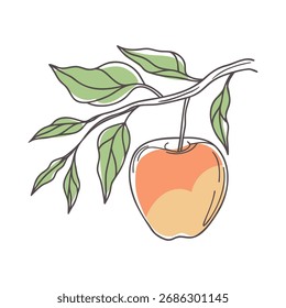 Apple em um galho. Ilustração botânica desenhada à mão. Esboço.
