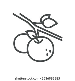 Apple on Branch Icon. Simple Line Illustration of Apples Growing on a Tree Branch, Representing Organic Farming and Fruit Harvesting.