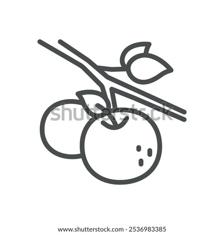 Apple on Branch Icon. Simple Line Illustration of Apples Growing on a Tree Branch, Representing Organic Farming and Fruit Harvesting.