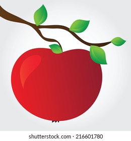 apple on a branch - simple vector illustration