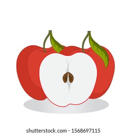 apple on white background. Vector illustration