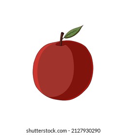 Apple on a white background. Vector illustration.
