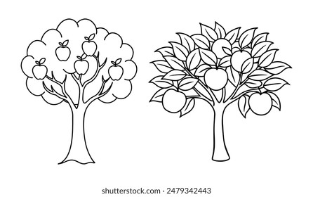 Apple and Orange Trees Elegant Line Art Representation