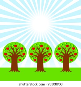 Apple orchard