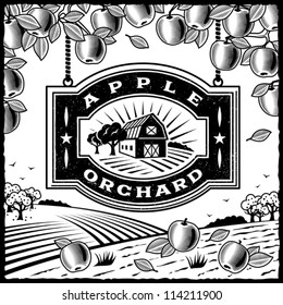 Apple Orchard black and white. Editable vector illustration.