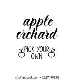 Apple orchard pick your own. Vector illustration. Lettering. Ink illustration. t-shirt design.