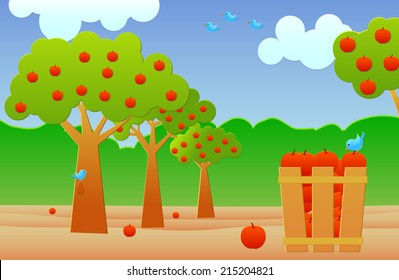 Apple orchard vector