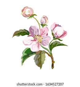 Apple ornament with branches, leaves and flowers. Decorative floral elements. Vector illustration