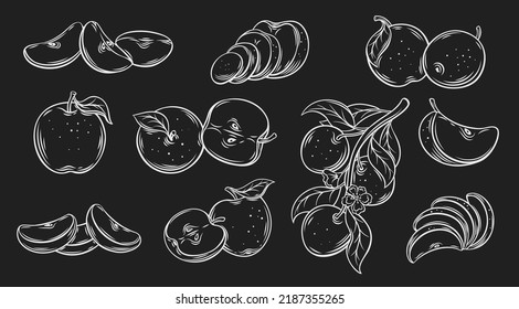 Apple outline icons set, white on black line healthy fruit vector illustration. Fresh organic whole apple with leaf and cut in half with seeds, pieces and slices of sweet vitamin snack, tree branch