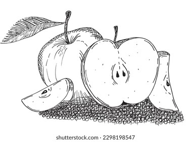 Apple outline illustration image. 
Hand drawn image artwork of apple. 
Simple cute original logo of a monochrome apple.
Hand drawn vector illustration for posters, cards, t-shirts.