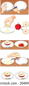 Apple Oxidation Science Experiment Illustration