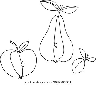 Apple and pear cut, plum with leaves. Sign. Continuous line drawing. Vector illustration.