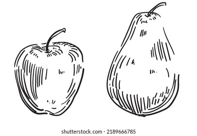 apple and pear drawing isolated on white background