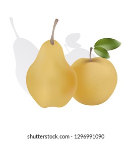 Apple and pear with shadows. Isolated. Vector