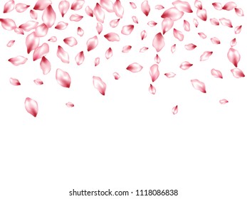 Apple petals flying vector floral background. Spring falling flower parts confetti, blossom elements graphic design. Soft flower blossom petals background design.