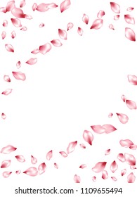 Apple petals flying vector invitation background. Spring falling flower parts confetti, blossom elements holiday design. Light flower blossom petals background illustration.