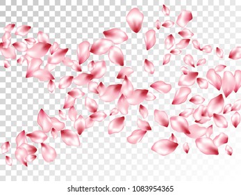 Apple petals flying vector spa background. Spring falling flower parts confetti, blossom elements valentine design. Light flower blossom petals poster vector background.