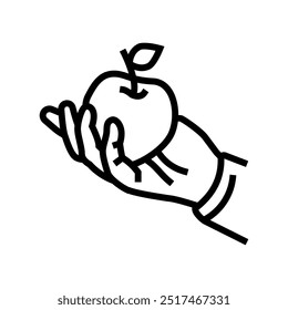 Apfelpflücken Herbstlinie Symbol Vektor. Herbstschild für Apfelpflücken. isoliertes Kontursymbol, schwarze Illustration
