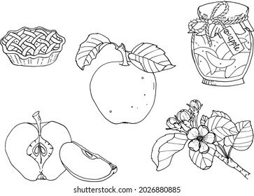 Apple pie piece jam twig jar isolated set graphic hand sketch black white illustration vector