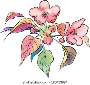 Apple pink flower - vector picture