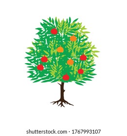 Apple or pomegranate tree vector illustration, isolated on white background.