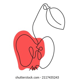 The apple is red. Fruit drawn line is black, red spot.