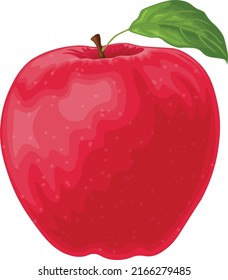 Apple. Red ripe apple. The apple is red with a green leaf. Ripe sweet fruit. Garden fruit. Vector illustration isolated on a white background