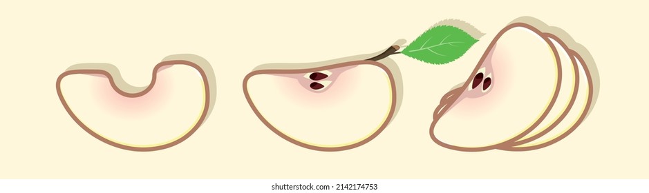 Apple red slices. Sliced vector juicy apple. The fruit lies on a yellow surface and casts a shadow