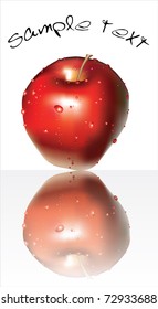 apple and reflection
