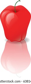 Apple Reflection, an Apple on a shiny surface. Vector Illustration.