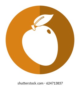 apple ripe fruit icon shadow