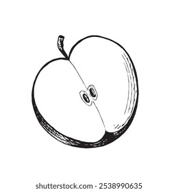 Apfelrunde Halbskizzen. Vektorgrafik, handgezeichnet, einzeln. Schwarz-Weiß zeichnen reife saftige Früchte. Bio-Lebensmittel. Gesundes Essen. Clipart für Menü, Kosmetik, Food Design.