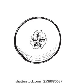 Bocetos de rebanadas redondas de manzana. Ilustración gráfica de Vector, dibujado a mano aislado. Dibujo en blanco y negro de frutas jugosas maduras. Producto alimenticio orgánico. Alimentación saludable. Clipart para el menú, cosmético, diseño de alimentos.