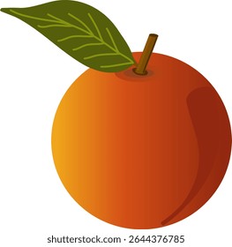 apple for school lunches and student snacks, fruit salads